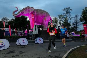 BIB: 
                            <button type="button" onclick="openModal(26529669)" class="btn btn-primary btn-sm float-right btn-popup" data-toggle="modal" data-target=".modal-high-quality">
                        <i class="fas fa-shopping-cart"></i> Add to Cart
                    </button>
                                            <button type="button" onclick="isThisMe(26529669, true)" class="btn btn-success btn-sm float-right btn-popup btn-isme hidden" data-toggle="tooltip" data-placement="bottom" title="นี่คือรูปของคุณใช่ไหม คลิกที่นี่เพื่อเอาเข้าอัลบั้ม">
                        <i class="fas fa-plus"></i> Add to album
                    </button>
                    <button type="button" onclick="isThisMe(26529669, false)" class="btn btn-warning btn-sm float-right btn-popup btn-isnotme hidden">
                        <i class="fas fa-ban"></i> Remove from album
                    </button>